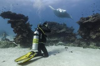 Lady Elliot Island Eco Resort מראה חיצוני תמונה