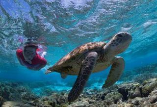 Lady Elliot Island Eco Resort מראה חיצוני תמונה